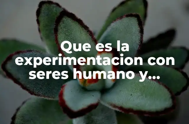 Que es la Experimentacion con Seres Humano y Animales