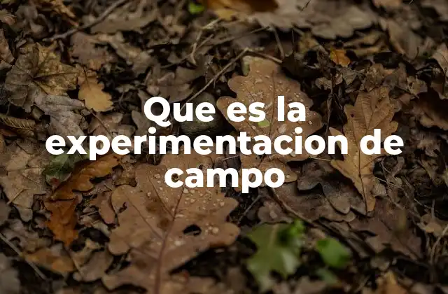 Que es la Experimentacion de Campo 2 La importancia de estudiar el comportamiento humano en entornos reales