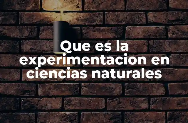 Que es la Experimentacion en Ciencias Naturales 2 El papel de la experimentación en el avance científico