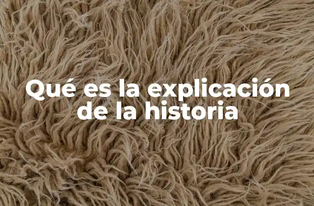 Qué es la Explicación de la Historia