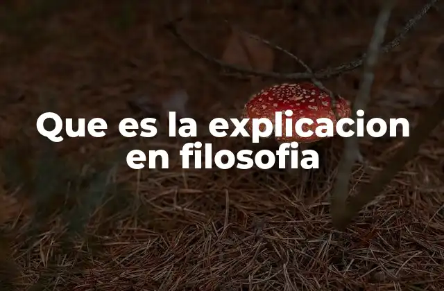 Que es la Explicacion en Filosofia
