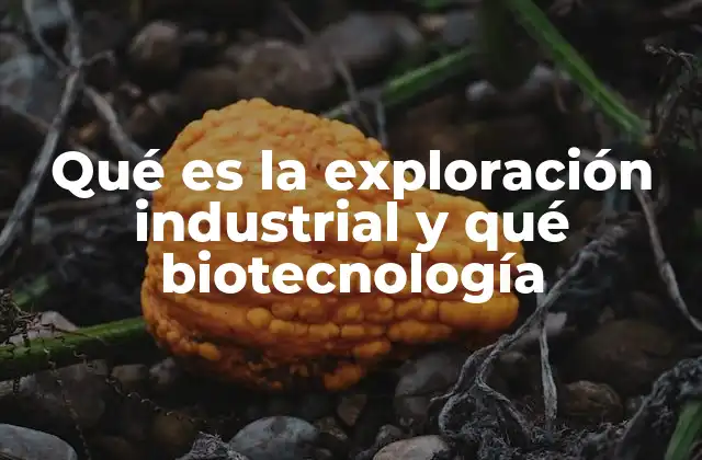 Qué es la Exploración Industrial y Qué Biotecnología