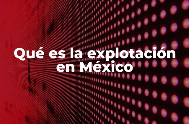 Qué es la Explotación en México