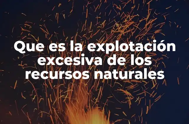 Que es la Explotación Excesiva de los Recursos Naturales