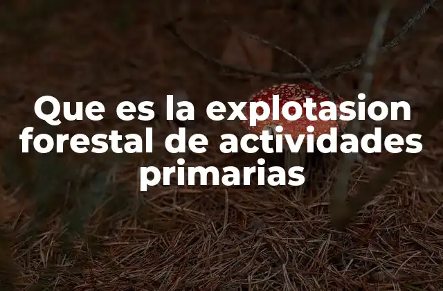 Que es la Explotasion Forestal de Actividades Primarias