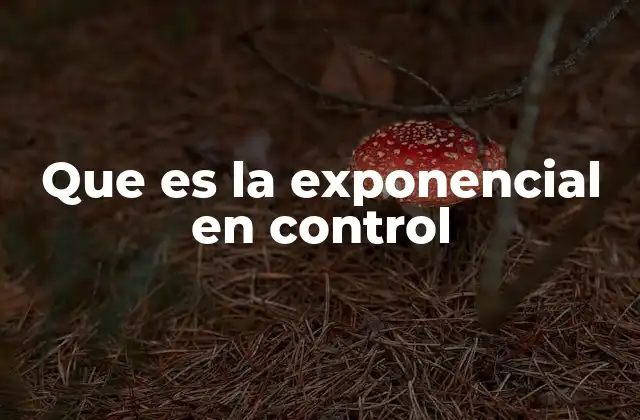 Que es la Exponencial en Control