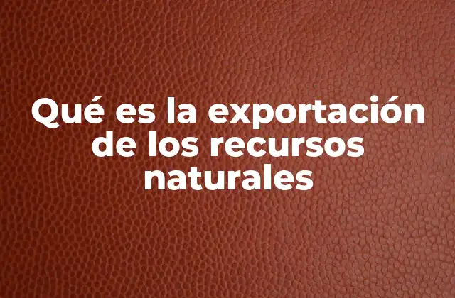 Qué es la Exportación de los Recursos Naturales