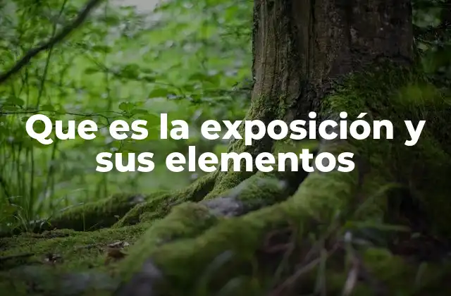 La estructura básica de una exposición