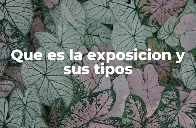 Que es la Exposicion y Sus Tipos