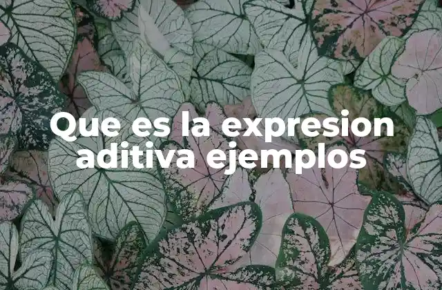 Que es la Expresion Aditiva Ejemplos