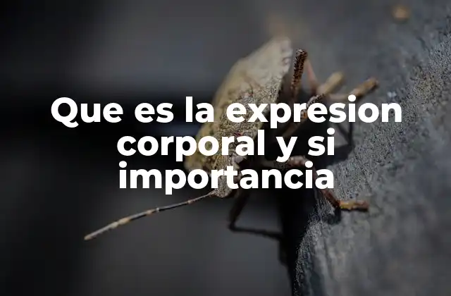 Que es la Expresion Corporal y Si Importancia