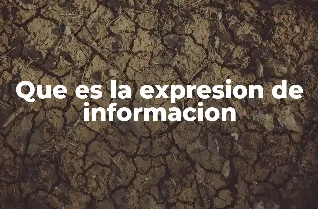 Que es la Expresion de Informacion