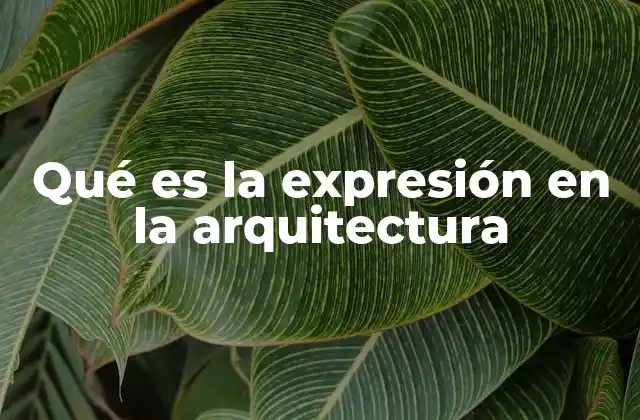La expresión como lenguaje arquitectónico