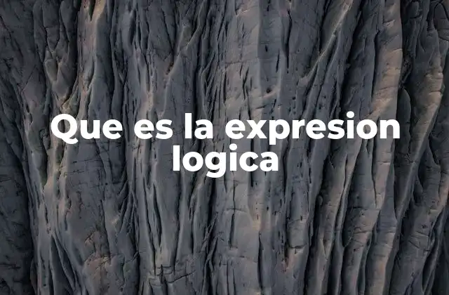 Que es la Expresion Logica