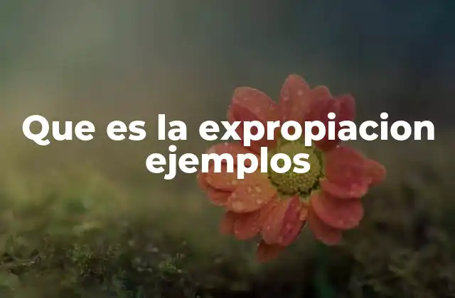 Que es la Expropiacion Ejemplos