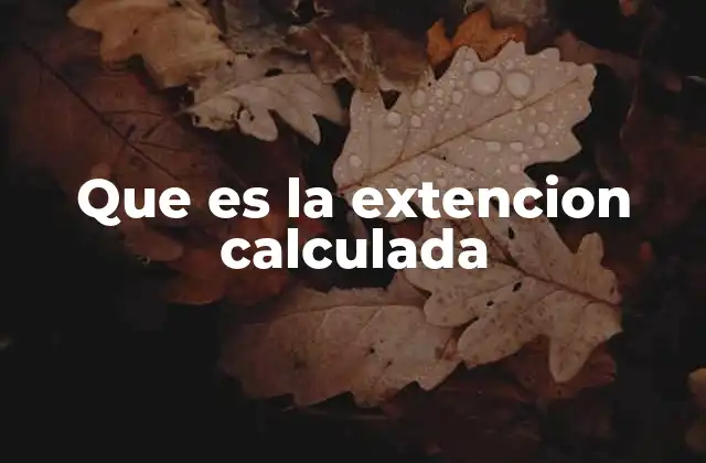 Que es la Extencion Calculada