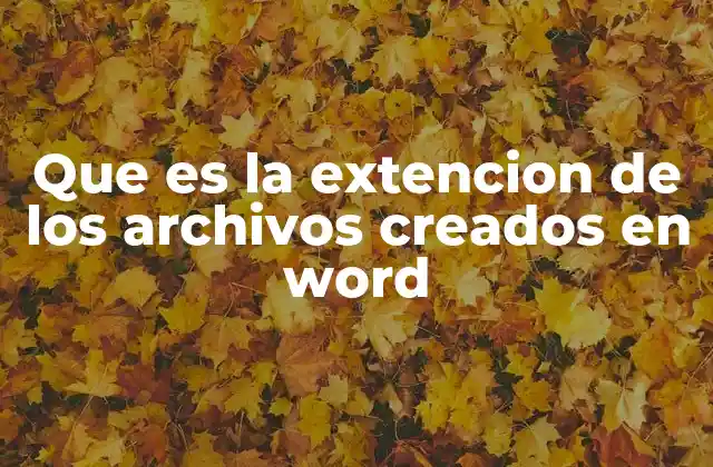 Que es la Extencion de los Archivos Creados en Word