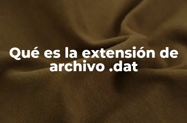 Qué es la Extensión de Archivo .dat
