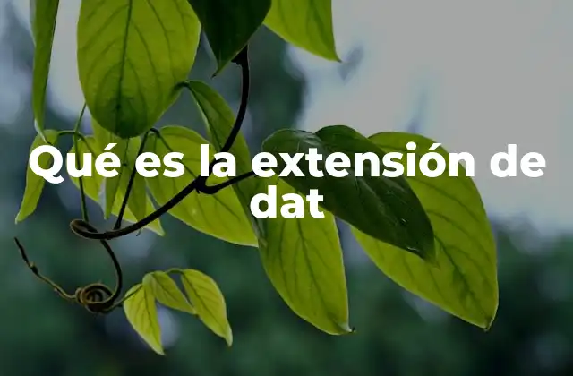 Qué es la Extensión de Dat