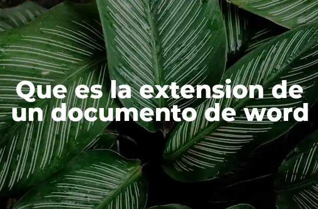 Que es la Extension de un Documento de Word