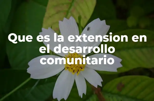 Que es la Extension en el Desarrollo Comunitario