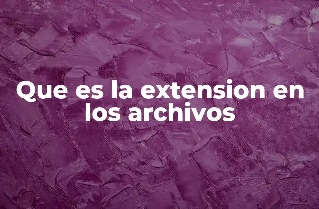 Que es la Extension en los Archivos