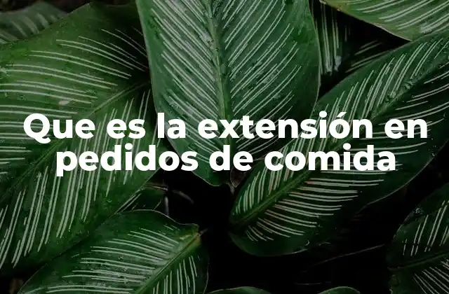 Que es la Extensión en Pedidos de Comida