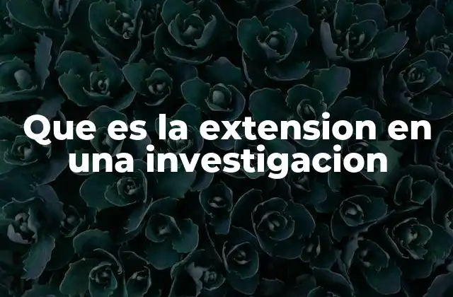 Que es la Extension en una Investigacion