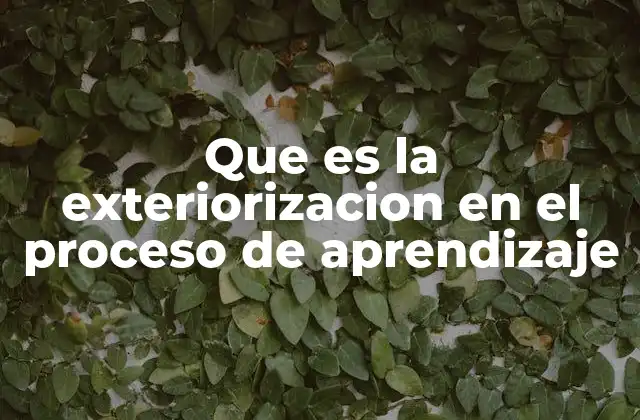 Que es la Exteriorizacion en el Proceso de Aprendizaje