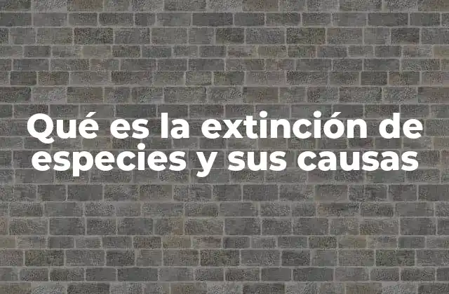 Qué es la Extinción de Especies y Sus Causas