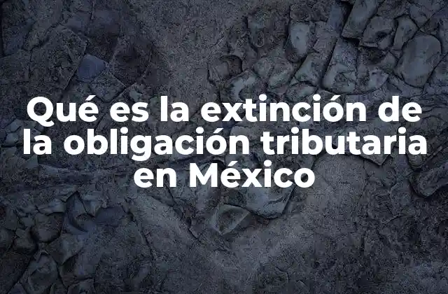 Qué es la Extinción de la Obligación Tributaria en México