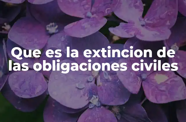 Que es la Extincion de las Obligaciones Civiles
