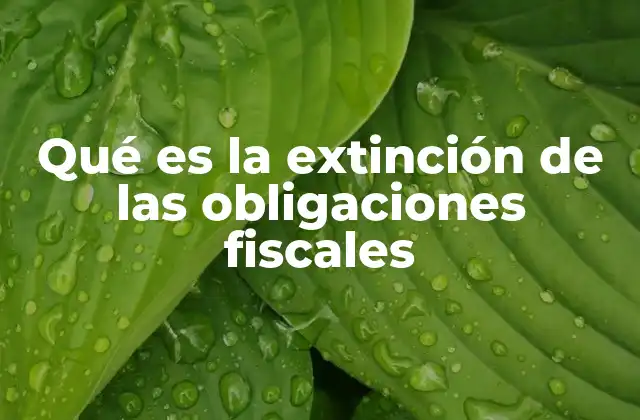 Qué es la Extinción de las Obligaciones Fiscales