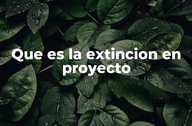 Que es la Extincion en Proyecto