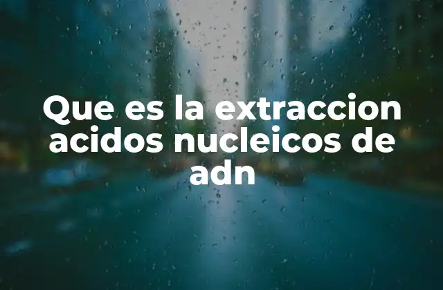 Que es la Extraccion Acidos Nucleicos de Adn