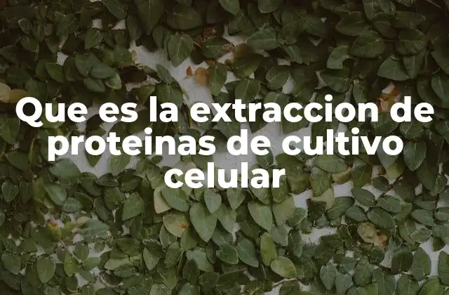 Que es la Extraccion de Proteinas de Cultivo Celular