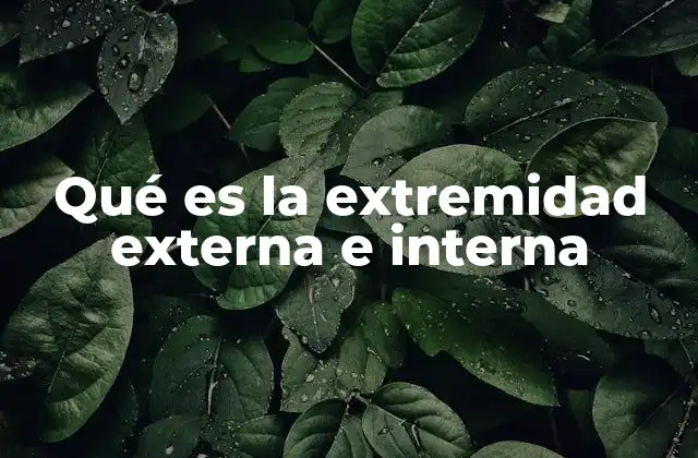 Qué es la Extremidad Externa e Interna