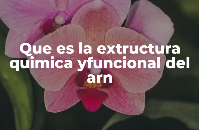 Estructura y dinámica molecular del ARN