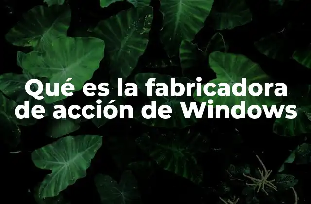 Qué es la Fabricadora de Acción de Windows