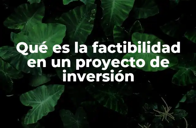 Qué es la Factibilidad en un Proyecto de Inversión