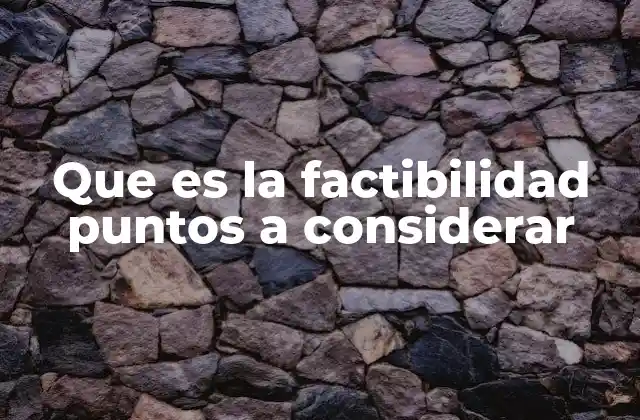 Que es la Factibilidad Puntos a Considerar