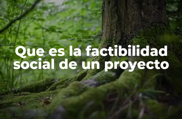 La importancia de la integración social en el desarrollo de proyectos
