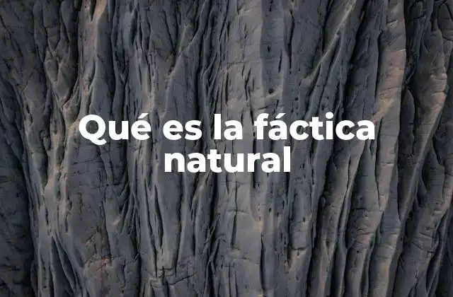 Qué es la Fáctica Natural