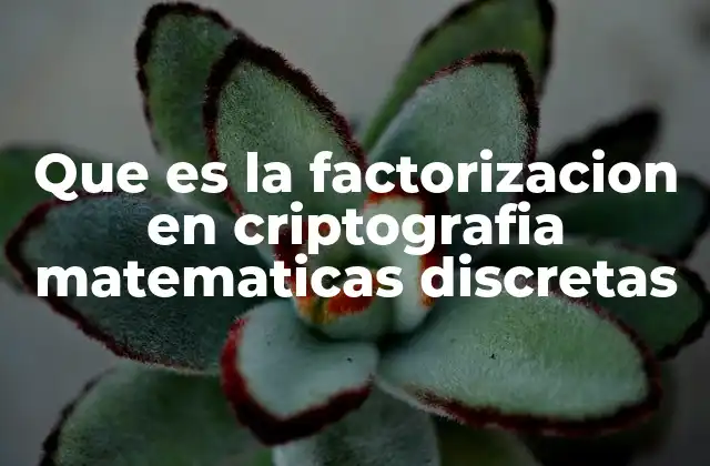 Que es la Factorizacion en Criptografia Matematicas Discretas