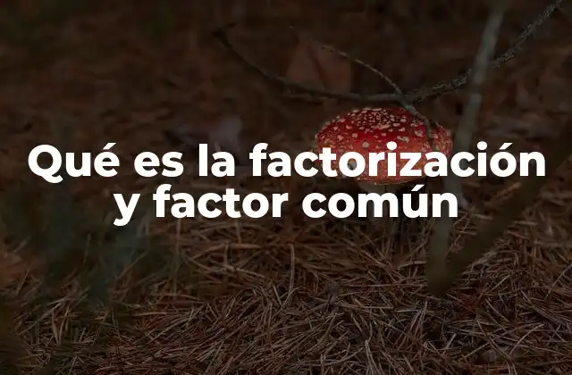 Qué es la Factorización y Factor Común