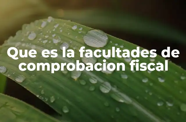 Que es la Facultades de Comprobacion Fiscal 2 El papel de las facultades en la administración tributaria