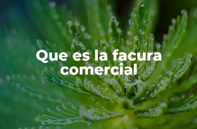 Que es la Facura Comercial