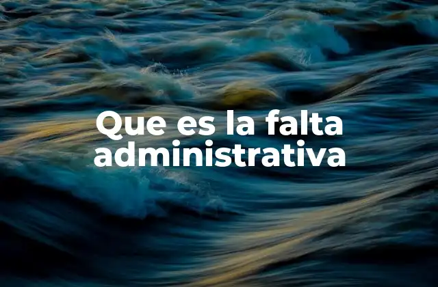 Que es la Falta Administrativa
