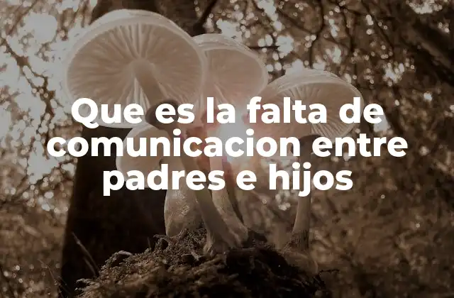 Que es la Falta de Comunicacion entre Padres e Hijos
