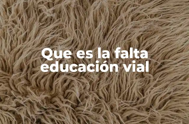 Que es la Falta Educación Vial